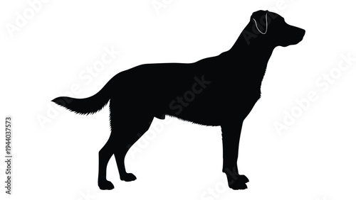 A black silhouette of a dog standing in profile, looking to the right with tail and ears visible on a white background, simple graphic design element