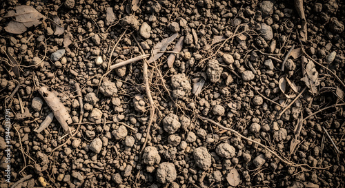 Brown gravel soil texture with compact earth surface and scattered stones creating natural terrain background suitable for environmental and construction design