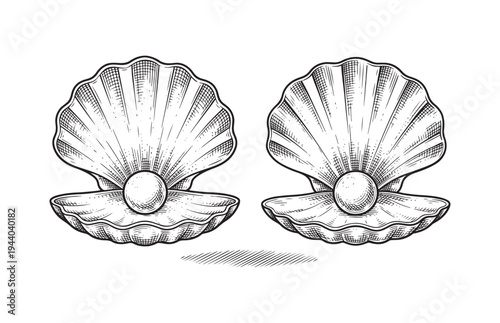 Bild auf Leinwand Open Oyster Shell with Shiny Pearl Sketch Ocean Jewelry Illustration