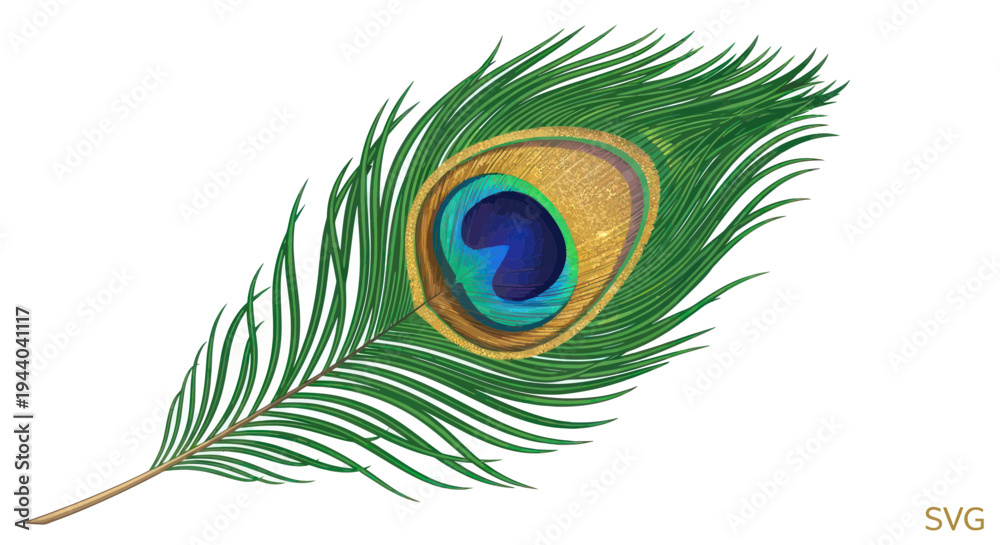 Obraz premium Vibrant Peacock Feather Isolated on White Background, Eye Pattern