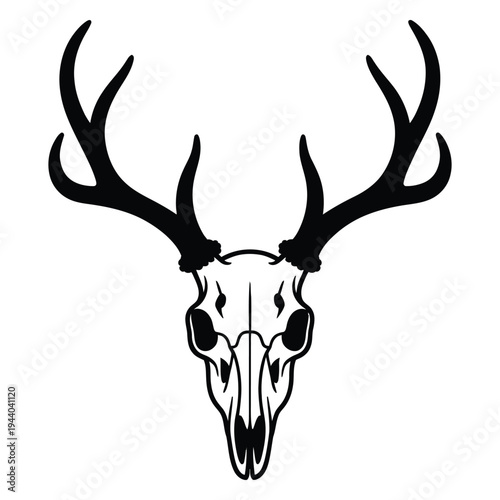 deer head isolated