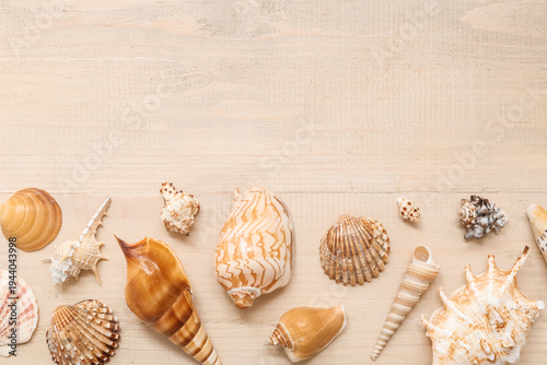 Many different sea shells o...