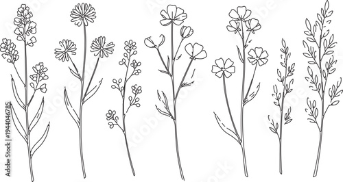 Set of 7 hand-drawn outline wild meadow flower and plant vector illustrations, ideal for botanical designs, wedding invitations, and natural branding