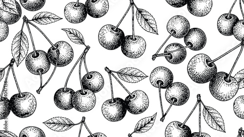 Vintage style cherry fruit pattern hand drawn engraving illustration showing clusters of ripe berries with stems and leaves on white background texture