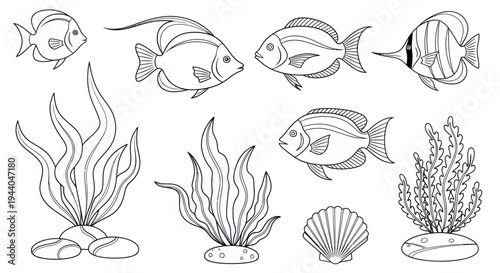 Ocean Life Collection: Hand-Drawn Fish, Seaweed, and Shells