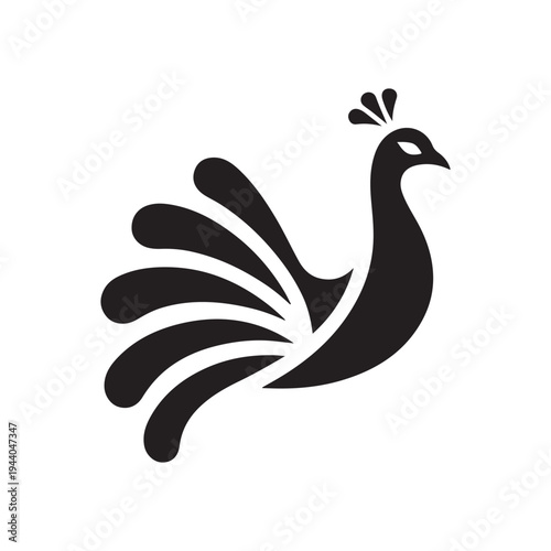 Peacock Symbol of Beauty Pride and Grace illustration concept design set collection