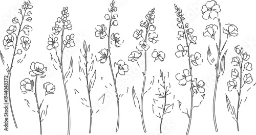 Set of 10 hand-drawn black and white botanical flower and plant line art illustrations vector for nature designs