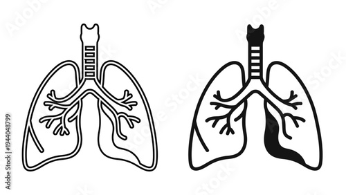 Detailed Human Lungs Icon  Respiratory System and Pulmonary Anatomy Symbol for Medical Design