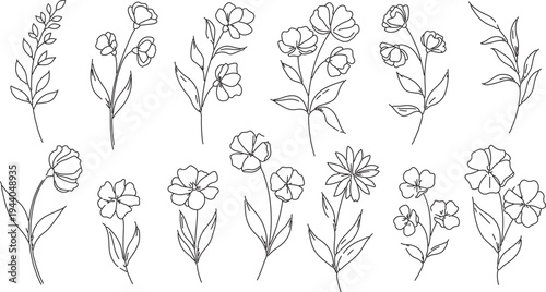 Set of 14 delicate hand-drawn floral line art vector illustrations, minimalist botanical elements for wedding invitations, branding, and decor
