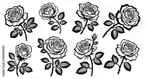 Black and white line drawing collection of roses with leaves and stems Vector