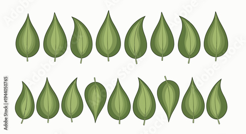 Illustration of two rows of green leaf shapes in varying orientations Vector