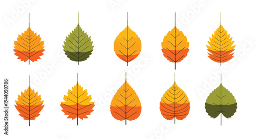 A collection of autumn leaves hanging from strings in various shades of orange, yellow, and green. Vector