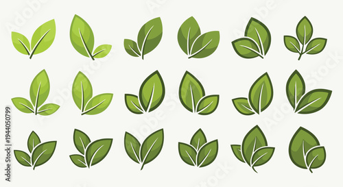 Collection of stylized green leaves arranged in a visually balanced pattern Vector