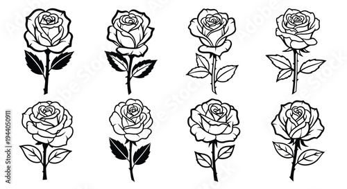 Eight distinct line-drawn illustrations of roses with varying petal and leaf details Vector
