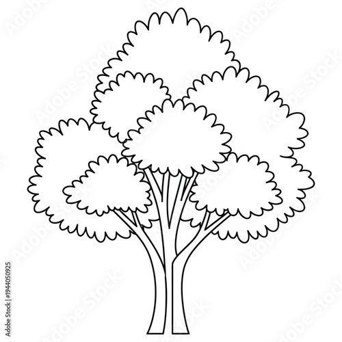 Vector illustration of a tree with multiple trunks and leaves