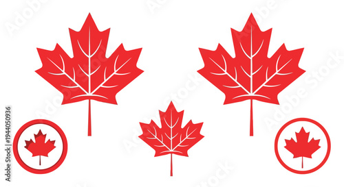 Graphic design featuring stylized red maple leaves with circular accents Vector