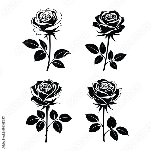 Elegant black and white line drawing of four roses with intricate details and stems Vector