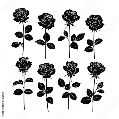 Elegant black and white line drawing of eight roses with green leaves and stems Vector
