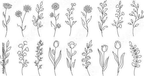 Set of 18 Hand-Drawn Outline Botanical Elements Vector - Minimalist Floral Line Art Collection for Nature-Inspired Designs