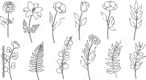 Set of 12 Hand-Drawn Outline Flower and Leaf Vector Illustrations for Botanical Designs, Wedding Invitations, and Nature-Themed Graphics