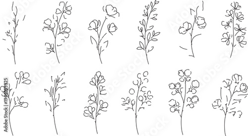 Set of 10 hand-drawn delicate floral branch vector illustrations with leaves and small flowers, minimalist line art for wedding invitations and botanical designs