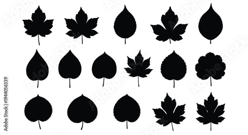 Collection of stylized maple leaf silhouettes in various orientations and designs Vector