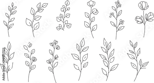 Set of 10 hand-drawn botanical line art vector illustrations, featuring delicate leaves and floral branches for elegant design elements