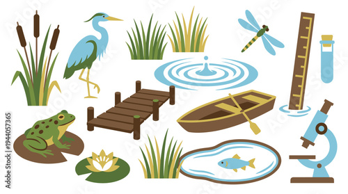 A set of thirteen stylized illustrations of a pond ecosystem, featuring wildlife, plants, and biology research equipment, presented in a flat design on white.