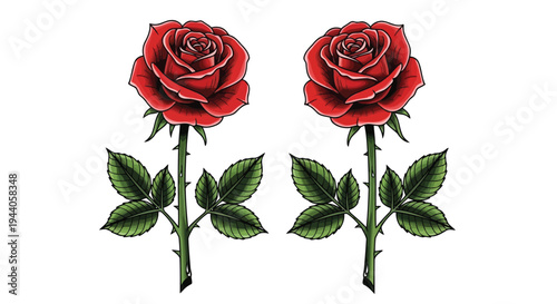 Two elegant red roses standing symmetrically with green leaves and stems Vector