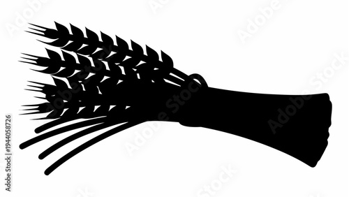 Wheat stalk bundle silhouette on white background symbolizing harvest festival and agriculture