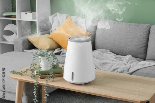 Air humidifier and housepla...