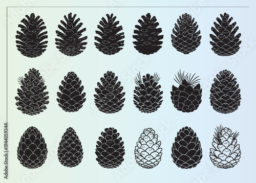 Detailedassortmentofpineconesvectorillustrationsinvariousstyles