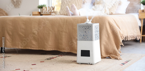 Modern air humidifier on ca...