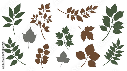 Various leaves are scattered in a natural outdoor environment with plants.
