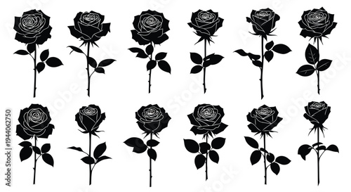 Elegant black and white illustration of twelve roses in various poses Vector