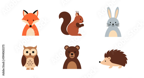 Cartoon forest animals illustration