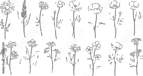 Set of 14 hand-drawn wildflower and garden flower line art vector illustrations, black and white botanical sketch collection for nature designs