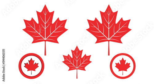 Red maple leaves with circular accents in a symmetrical arrangement Vector