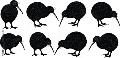 Flying duck silhouette vector illustration isolated on white background, wild mallard bird wings spread out front view, waterfowl for nature hunting.