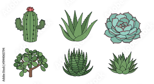 Cartoon succulent plants isolated on white
