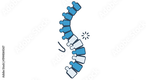 Human Spine Anatomy Illustration Medical Vertebrae Health.