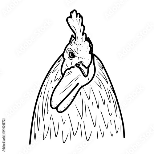 Rooster head. Vector sketch, hand drawn. Bird portrait. Chicken. Feathered animal with a comb and beak. Line art graphic illustration.