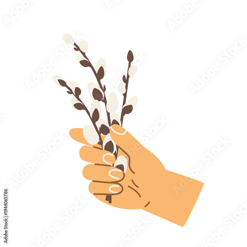 hand holding easter pussy willow branches as a symbol of spring renewal and tradition, natural seasonal decoration and Palm Sunday concept -vector illustration