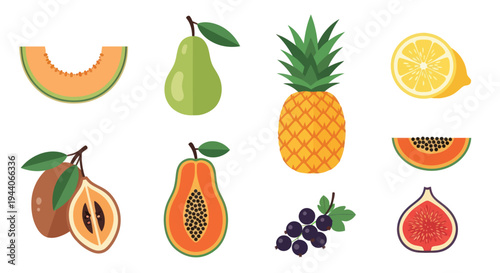 Colorful fruits isolated vector illustrations