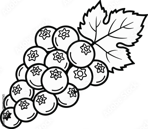 A cluster of plump berries with a detailed leaf