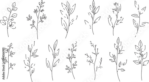 Set of 12 Hand-Drawn Botanical Line Art Vector Illustrations: Minimalist Black and White Leaves and Branches for Nature Designs