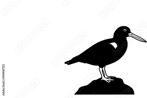 Black silhouetted bird with long beak stands on a rock