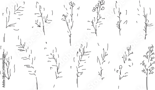 Set of 12 Hand-Drawn Minimalist Botanical Line Art Vector Illustrations with Delicate Leaves and Flowers for Nature-Inspired Designs