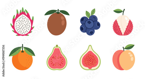 Colorful tropical fruit assortment illustration