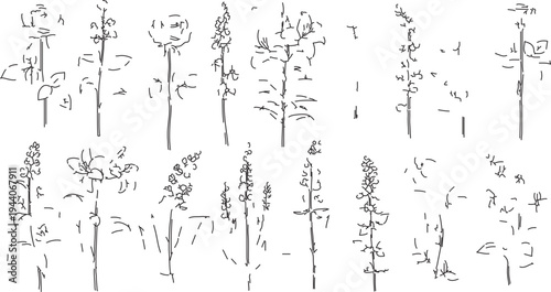 Set of 12 hand-drawn line art tree vectors, minimalist black and white botanical illustrations for nature designs and forest themes